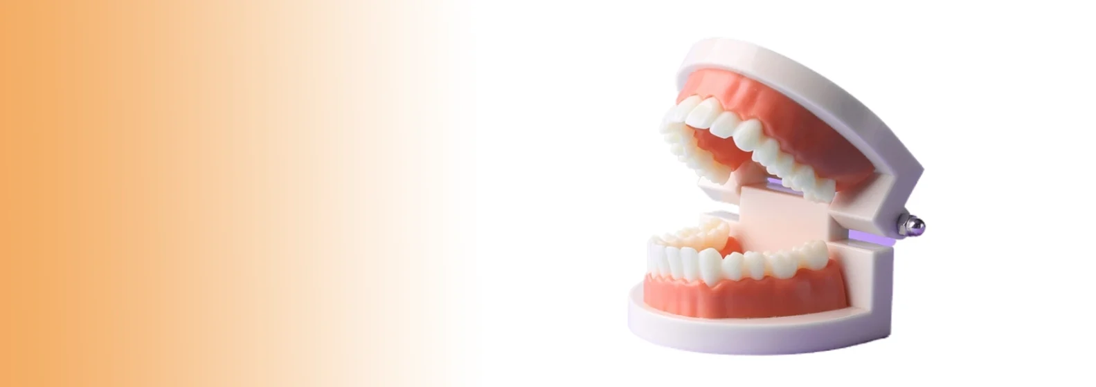 Dental model showcasing upper and lower dentures, placed against a white background with an orange gradient on the left.